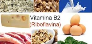 vitabina b2